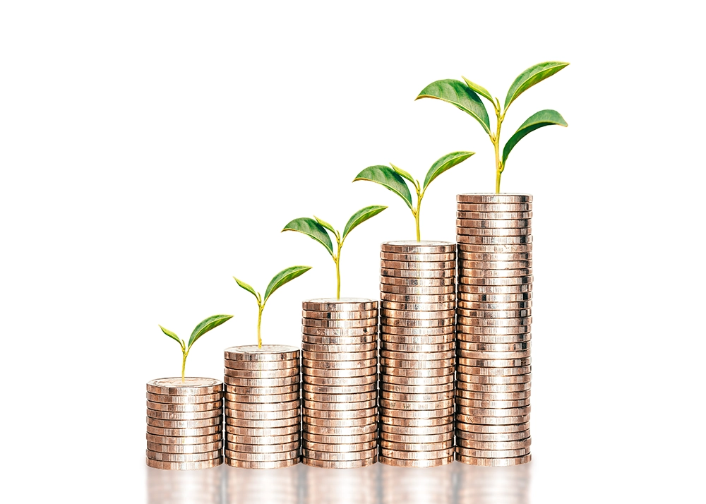 Croissance plantes pièces monnaie ROI identité visuelle investissement